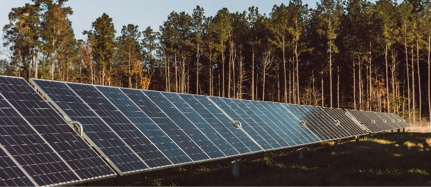 EDP Renewable's Cameron Solar Park in South Carolina. Photo courtesy of Blair Matocha.